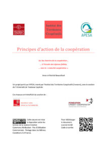 thumbnail of [RAPPORT 2018]_Principes d’action de la cooperation